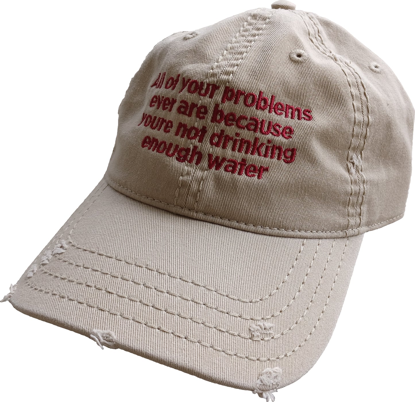 All Of Your Problems Ever Are Because You're Not Drinking Enough Water Distressed Dad Hat
